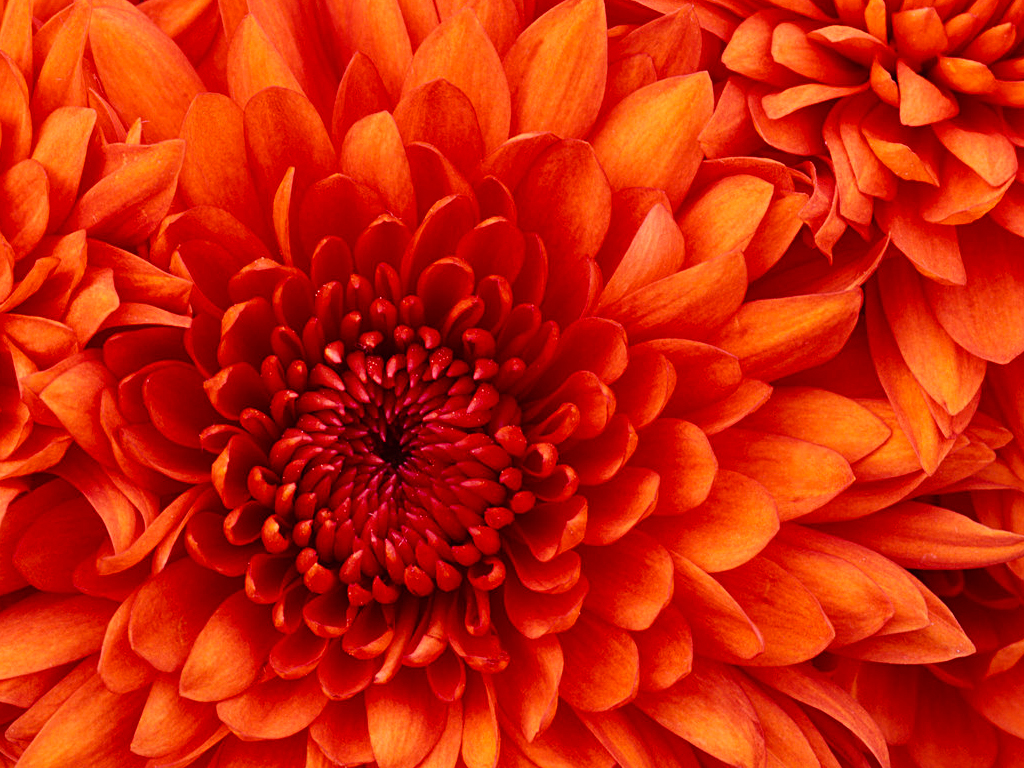 center_image