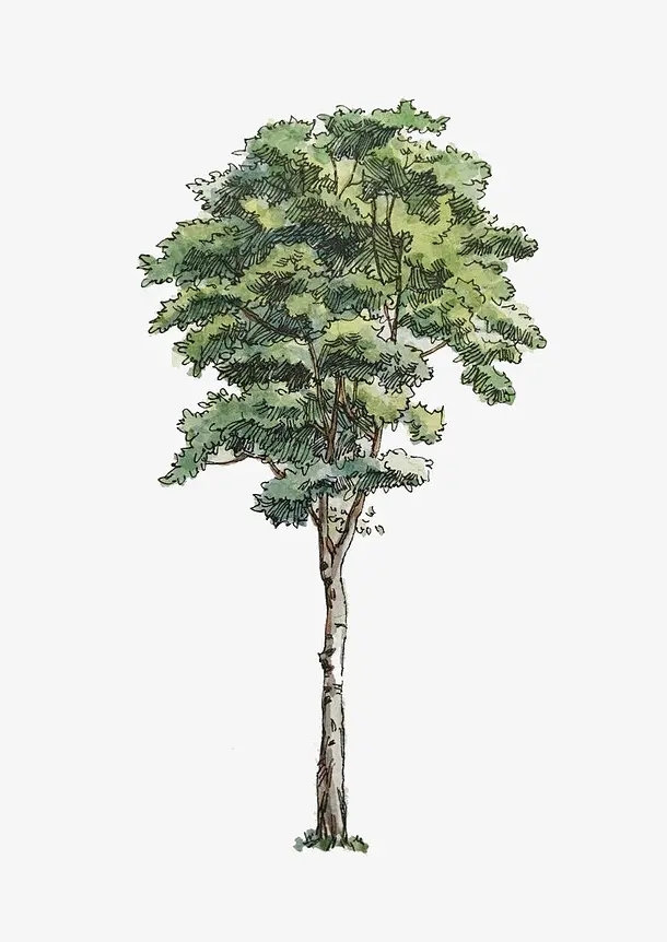 center_image