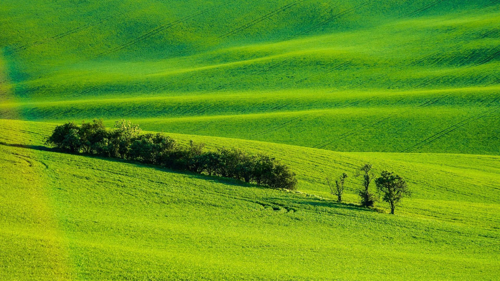center_image