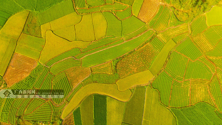 center_image
